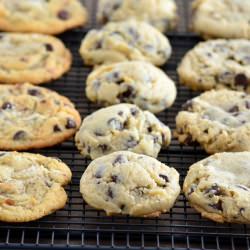 Chocolate Chip Cookie