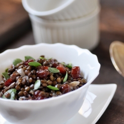 Lentil Salad with Cranberries