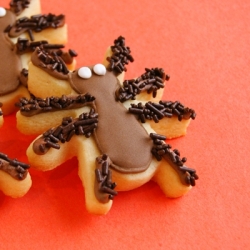 Hairy-Legged Spider Cookies