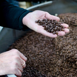 Coffee Roasting