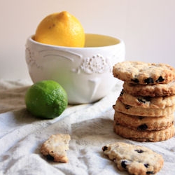 Blueberry Citrus Scones