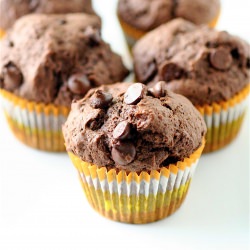 Chocolate Chocolate Chip Muffins