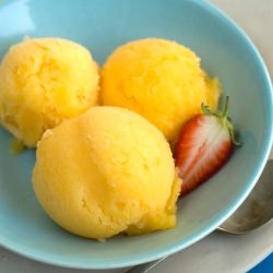 Minneola Sorbet