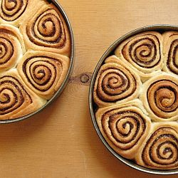 Winter Cinnamon Rolls