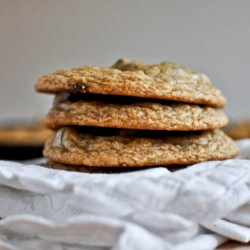 CHEWY Pumpkin Cookies