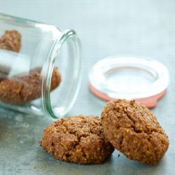 Sugar-Free Pumpkin Cookies