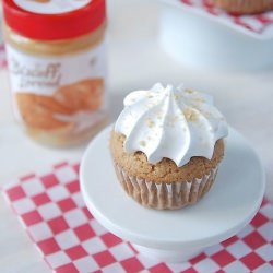 Biscoff Cupcakes