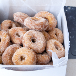 Pumpkin Doughnuts