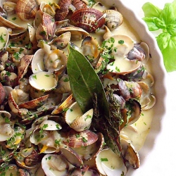 Clams in Cream Sauce