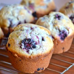 Blackberry Barley Muffins