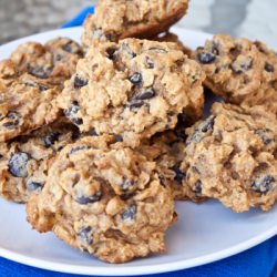 Pumpkin Oatmeal Chocolate Chip Cookies