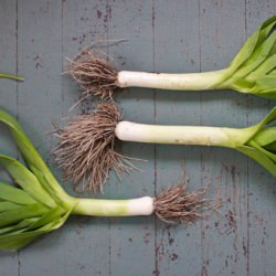 How to Clean Leeks