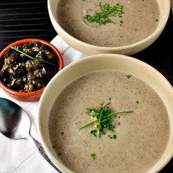 Mushroom and Snail Soup