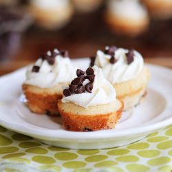 Mini Chocolate Chip Cupcakes