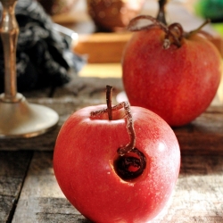 Halloween Spooky Apples