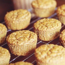 Moist Pumpkin Protein Muffins