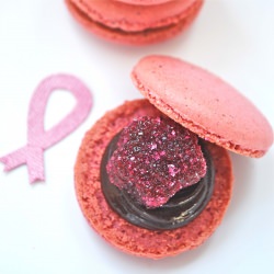 2011 Pinktober Macarons