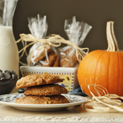 Pumpkin Chocolate Chip Cookies