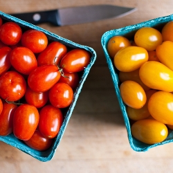 A Summer of Tomatoes