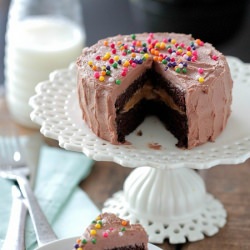 Chocolate Peanut Butter Cake