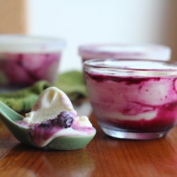 Lemon Blueberry Frozen Yogurt