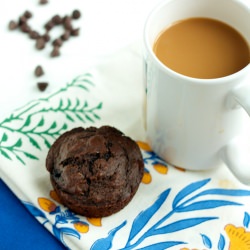 Chocolate-Blueberry Muffins