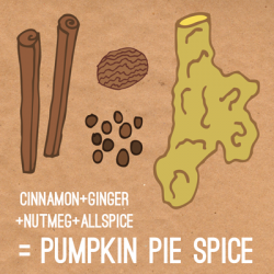 Pumpkin Pie Spice