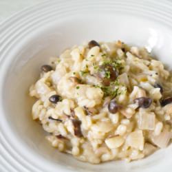 Mushroom Risotto