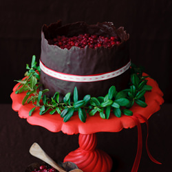 Chocolate Cranberry Cake