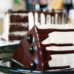 Chocolate Coffee Cake