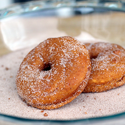 Baked Pumpkin Doughnuts