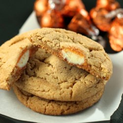 Fall Spice Cookies