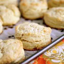 Cream Biscuits