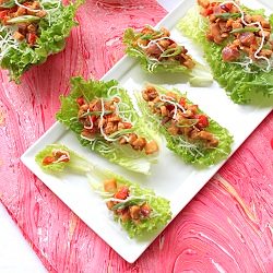 Vegetarian Lettuce Wraps