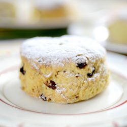 Winter Scones