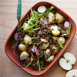 Lentil Potato Salad