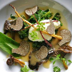 Brandade with Kale and Truffles