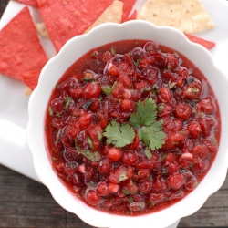 Cranberry Salsa