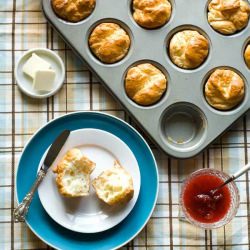 Gluten Free Soft Dinner Rolls