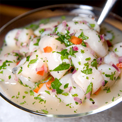 Scallop Ceviche