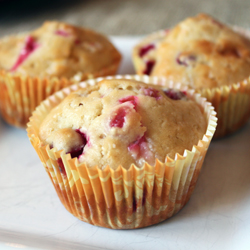 Cranberry White Chocolate Muffins