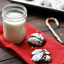 Chocolate Snowball Cookies