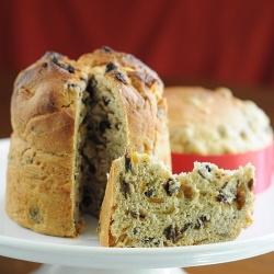 Panettone