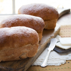 Maple Wheat Bread