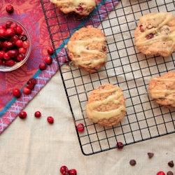 Chocolate Cranberry Oatmeal Cookies