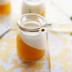 Panna Cotta with Mango Gelee