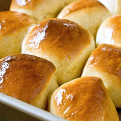 Classic Dinner Rolls