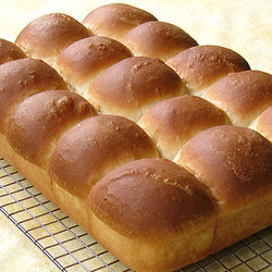 Dinner Rolls