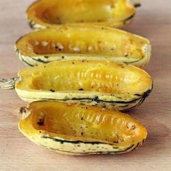 Roasted Delicata Squash