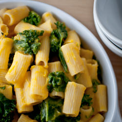 Rigatoni with Butternut Squash Sauce